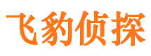 平陆市婚姻调查